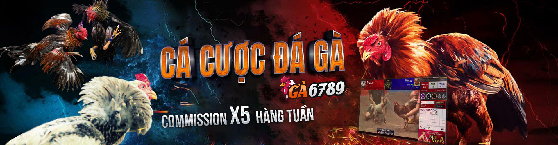 Ga6789 Com 🎖️ Link Đá Gà Thomo Trực Tuyến Mới Nhất 2026 9 da ga thomo ga6789